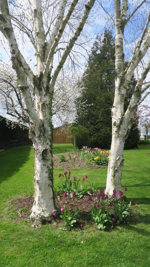 Le Clos Brayon Saint-Honore  Bagian luar foto